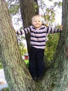 Nicholas
